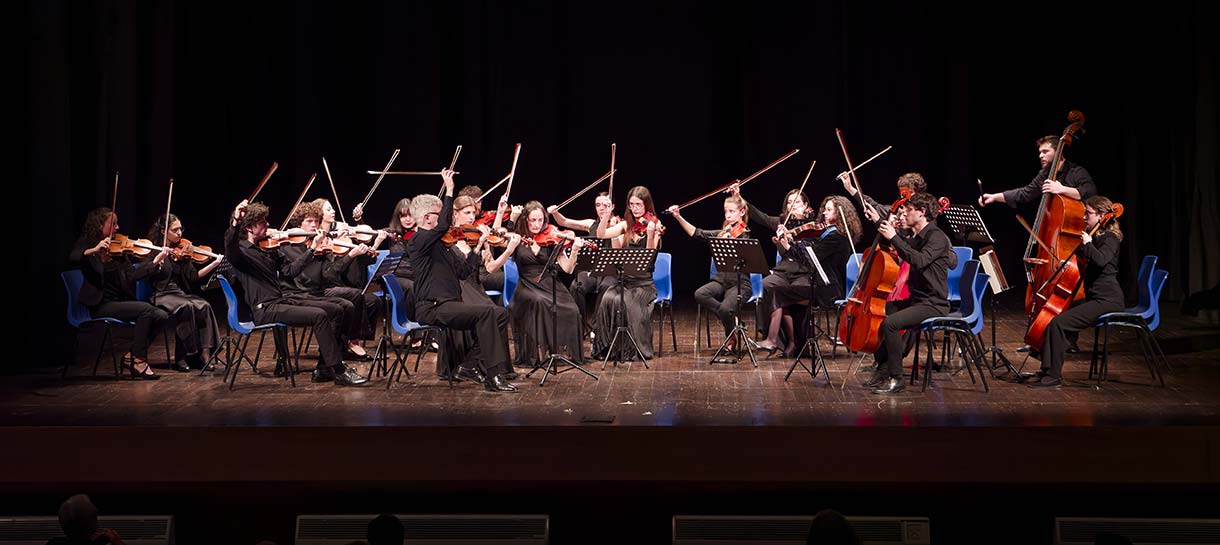 Orchestra da Camera Accademia con Alessandro Milani 